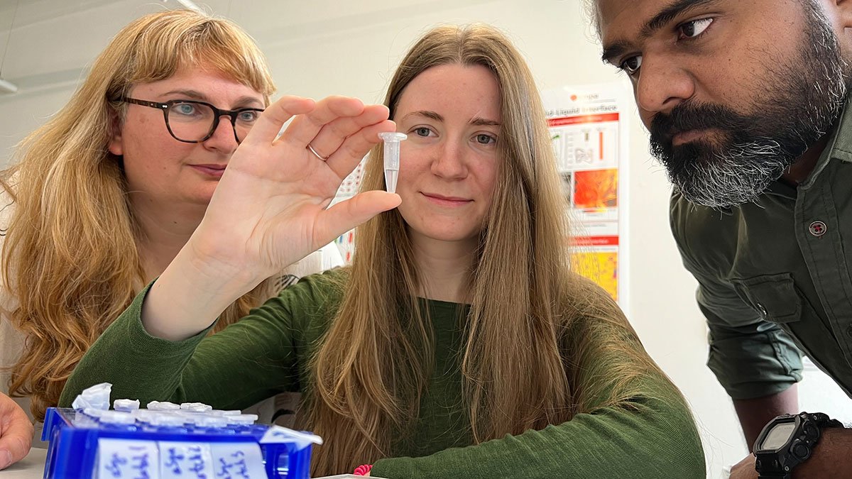 Kupfer unter Verdacht