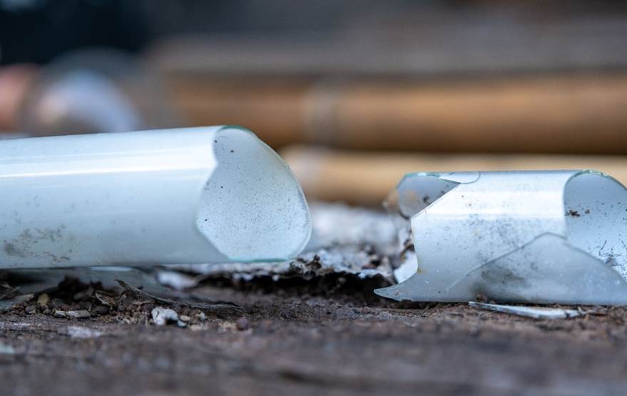 Ab ins Recycling: Wenn Leuchtstofflampen den Geist aufgeben