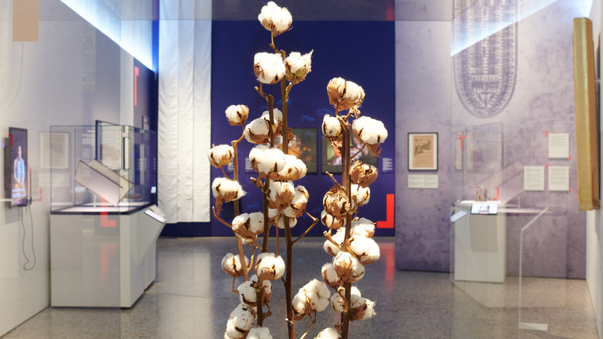 Kolonialismus: Geschichte aufarbeiten. Ausstellung im Landesmuseum Zürich