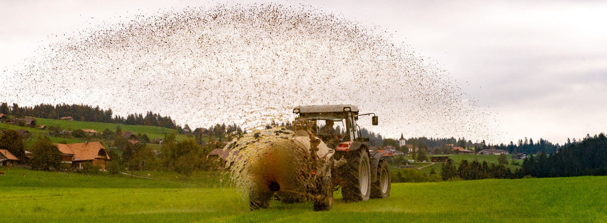 Bundesrat will Bauern helfen. Diese verdienen zu wenig