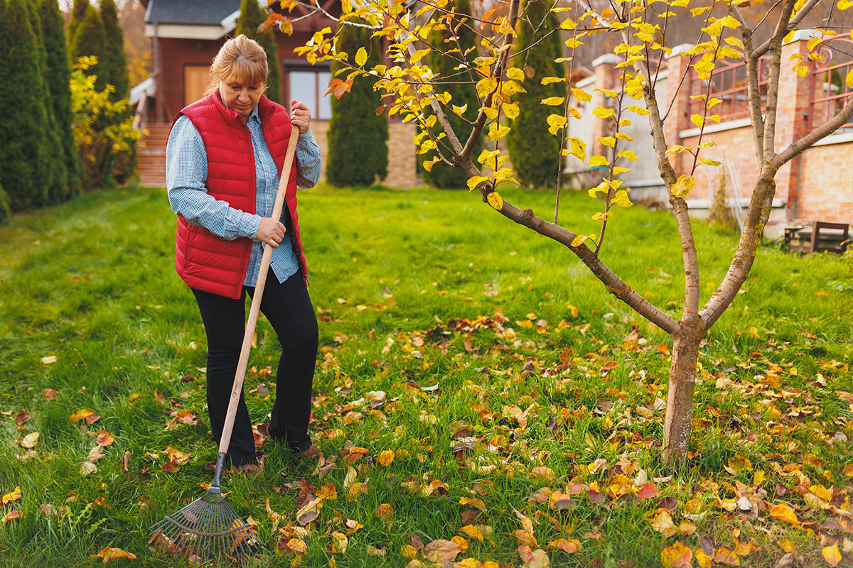 Zeit für den Herbstputz im Garten